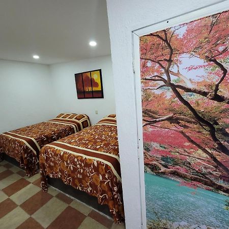 Hotel Vicalis Сан-Хуан-Теотіуакан Екстер'єр фото